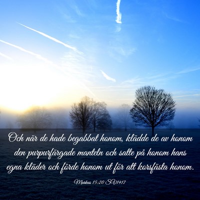 Picture 03 - Markus 15:20 SV1917 - Och när de hade begabbat honom, klädde de av - Bible Verse Picture