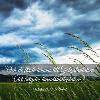 Picture 03 - Markus 15:22 SV1917 - Och de förde honom till Golgataplatsen (det - Bible Verse Picture