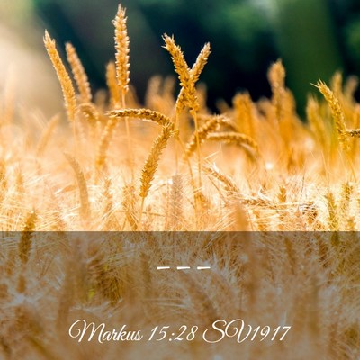 Picture 03 - Markus 15:28 SV1917 -  - Bible Verse Picture