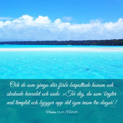 Picture 03 - Markus 15:29 SV1917 - Och de som gingo där förbi bespottade honom och - Bible Verse Picture