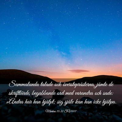 Picture 03 - Markus 15:31 SV1917 - Sammalunda talade ock översteprästerna, jämte - Bible Verse Picture