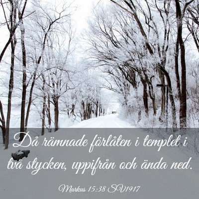Picture 03 - Markus 15:38 SV1917 - Då rämnade förlåten i templet i två stycken, - Bible Verse Picture