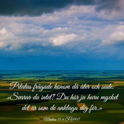 Picture 03 - Markus 15:4 SV1917 - Pilatus frågade honom då åter och sade: - Bible Verse Picture
