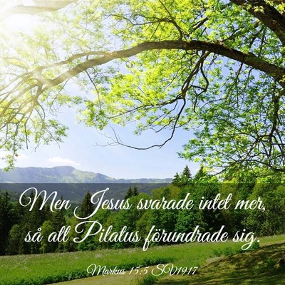 Picture 03 - Markus 15:5 SV1917 - Men Jesus svarade intet mer, så att Pilatus - Bible Verse Picture