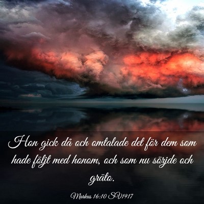 Picture 03 - Markus 16:10 SV1917 - Hon gick då och omtalade det för dem som hade - Bible Verse Picture
