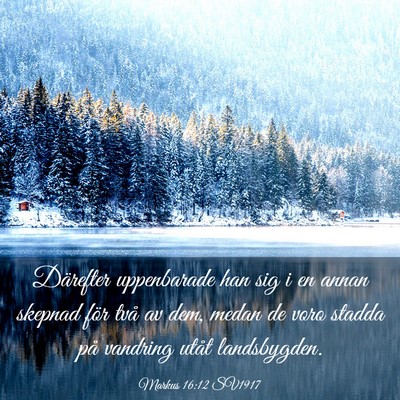 Picture 03 - Markus 16:12 SV1917 - Därefter uppenbarade han sig i en annan skepnad - Bible Verse Picture