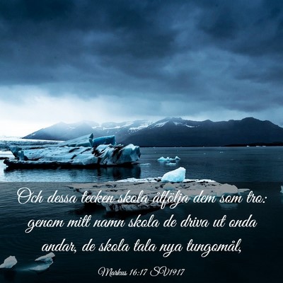 Picture 03 - Markus 16:17 SV1917 - Och dessa tecken skola åtfölja dem som tro: - Bible Verse Picture