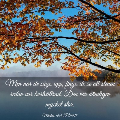 Picture 03 - Markus 16:4 SV1917 - Men när de sågo upp, fingo de se att stenen - Bible Verse Picture