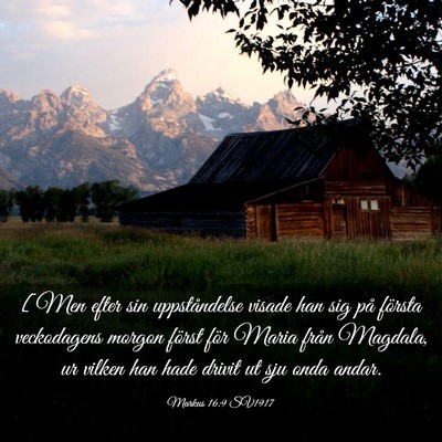 Picture 03 - Markus 16:9 SV1917 - [Men efter sin uppståndelse visade han sig på - Bible Verse Picture