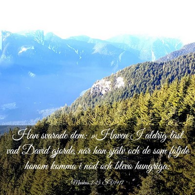 Picture 03 - Markus 2:25 SV1917 - Han svarade dem: »Haven I aldrig läst vad David - Bible Verse Picture