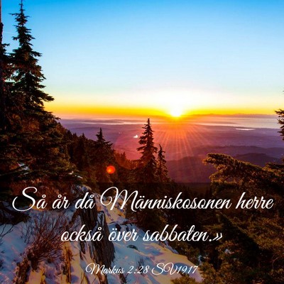 Picture 03 - Markus 2:28 SV1917 - Så år då Människosonen herre också över - Bible Verse Picture