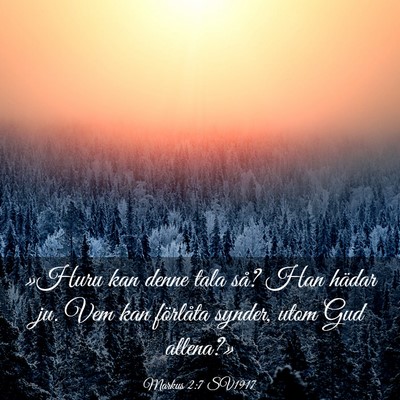 Picture 03 - Markus 2:7 SV1917 - »Huru kan denne tala så? Han hädar ju. Vem kan - Bible Verse Picture