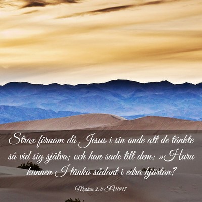 Picture 03 - Markus 2:8 SV1917 - Strax förnam då Jesus i sin ande att de tänkte - Bible Verse Picture