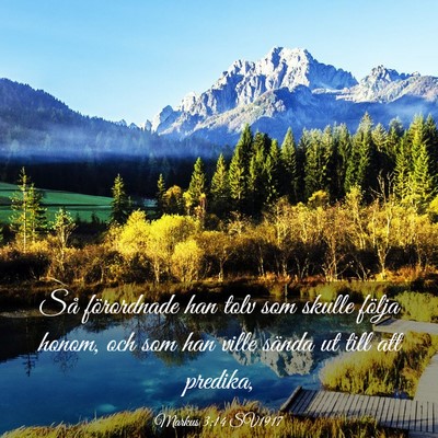 Picture 03 - Markus 3:14 SV1917 - Så förordnade han tolv som skulle följa honom, - Bible Verse Picture