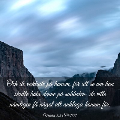 Picture 03 - Markus 3:2 SV1917 - Och de vaktade på honom, för att se om han - Bible Verse Picture
