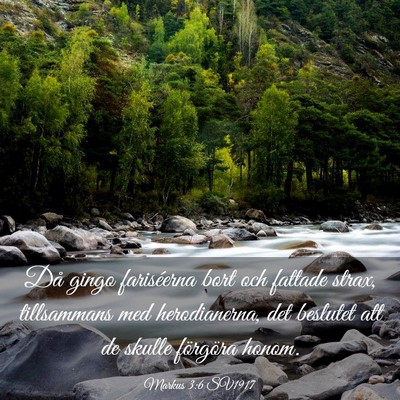 Picture 03 - Markus 3:6 SV1917 - Då gingo fariséerna bort och fattade strax, - Bible Verse Picture