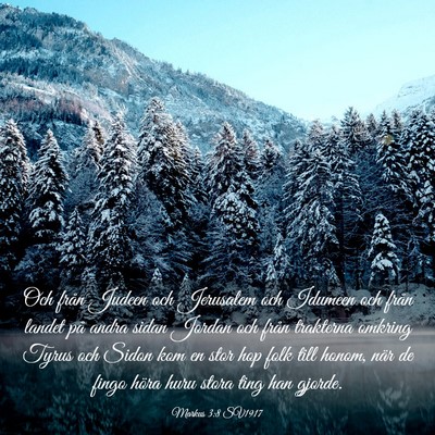 Picture 03 - Markus 3:8 SV1917 - Och från Judeen och Jerusalem och Idumeen och - Bible Verse Picture