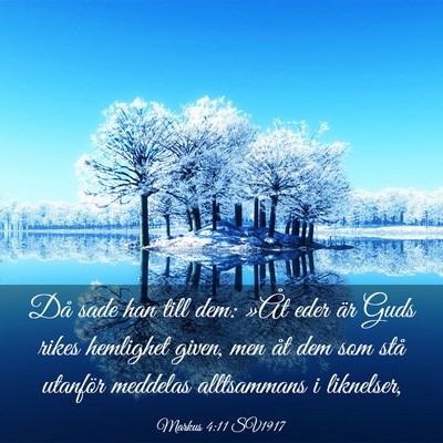 Picture 03 - Markus 4:11 SV1917 - Då sade han till dem: »Åt eder är Guds rikes - Bible Verse Picture