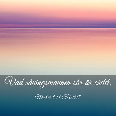 Picture 03 - Markus 4:14 SV1917 - Vad såningsmannen sår är - Bible Verse Picture
