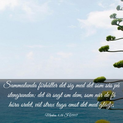 Picture 03 - Markus 4:16 SV1917 - Sammalunda förhåller det sig med det som sås - Bible Verse Picture