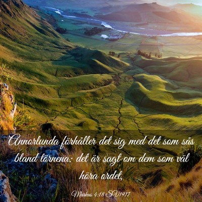 Picture 03 - Markus 4:18 SV1917 - Annorlunda förhåller det sig med det som sås - Bible Verse Picture