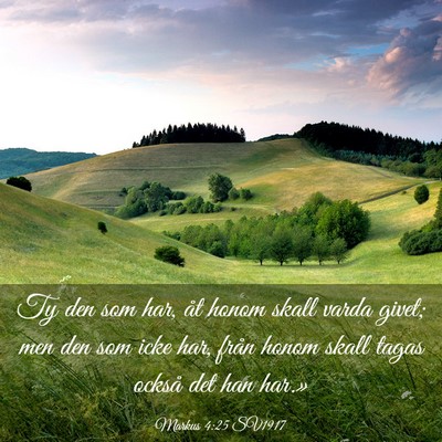 Picture 03 - Markus 4:25 SV1917 - Ty den som har, åt honom skall varda givet; men - Bible Verse Picture