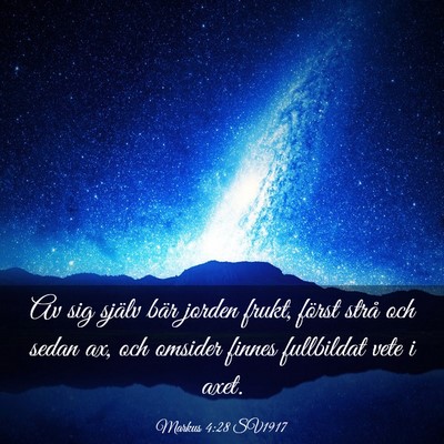 Picture 03 - Markus 4:28 SV1917 - Av sig själv bär jorden frukt, först strå och - Bible Verse Picture