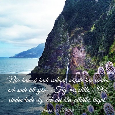 Picture 03 - Markus 4:39 SV1917 - När han så hade vaknat, näpste han vinden och - Bible Verse Picture