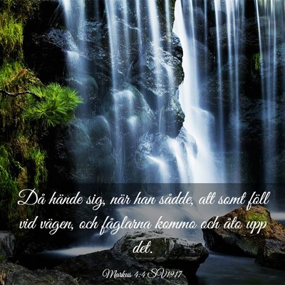 Picture 03 - Markus 4:4 SV1917 - Då hände sig, när han sådde, att somt föll - Bible Verse Picture