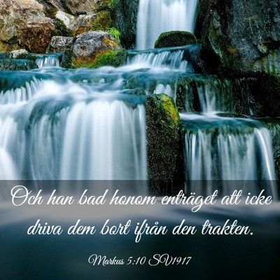 Picture 03 - Markus 5:10 SV1917 - Och han bad honom enträget att icke driva dem - Bible Verse Picture