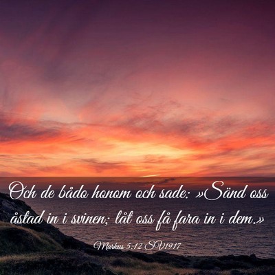 Picture 03 - Markus 5:12 SV1917 - Och de bådo honom och sade: »Sänd oss åstad - Bible Verse Picture