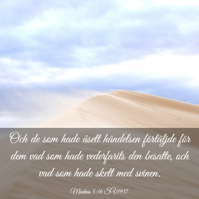 Picture 03 - Markus 5:16 SV1917 - Och de som hade åsett händelsen förtäljde - Bible Verse Picture