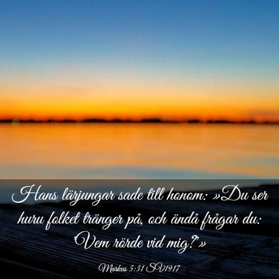Picture 03 - Markus 5:31 SV1917 - Hans lärjungar sade till honom: »Du ser huru - Bible Verse Picture