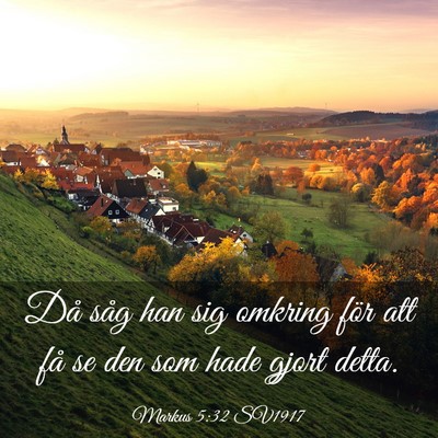Picture 03 - Markus 5:32 SV1917 - Då såg han sig omkring för att få se den som - Bible Verse Picture