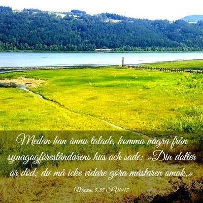 Picture 03 - Markus 5:35 SV1917 - Medan han ännu talade, kommo några från - Bible Verse Picture