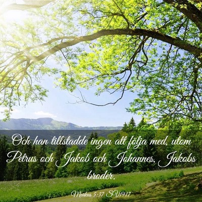 Picture 03 - Markus 5:37 SV1917 - Och han tillstadde ingen att följa med, utom - Bible Verse Picture