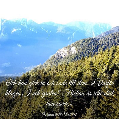 Picture 03 - Markus 5:39 SV1917 - Och han gick in och sade till dem: »Varför - Bible Verse Picture