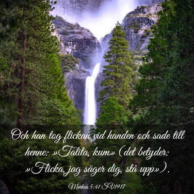 Picture 03 - Markus 5:41 SV1917 - Och han tog flickan vid handen och sade till - Bible Verse Picture