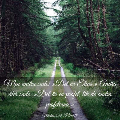 Picture 03 - Markus 6:15 SV1917 - Men andra sade: »Det är Elias.» Andra åter - Bible Verse Picture
