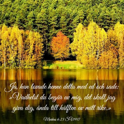 Picture 03 - Markus 6:23 SV1917 - Ja, han lovade henne detta med ed och sade: - Bible Verse Picture