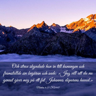 Picture 03 - Markus 6:25 SV1917 - Och strax skyndade hon in till konungen och - Bible Verse Picture