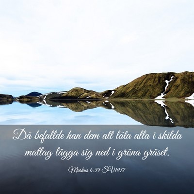 Picture 03 - Markus 6:39 SV1917 - Då befallde han dem att låta alla i skilda - Bible Verse Picture