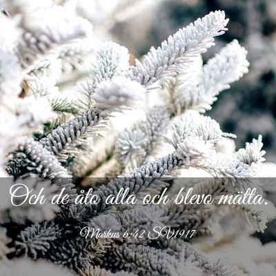 Picture 03 - Markus 6:42 SV1917 - Och de åto alla och blevo - Bible Verse Picture