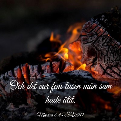 Picture 03 - Markus 6:44 SV1917 - Och det var fem tusen män som hade - Bible Verse Picture