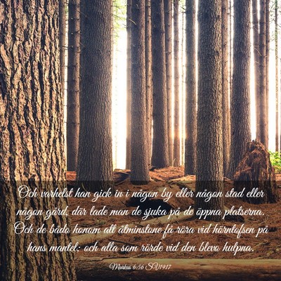 Picture 03 - Markus 6:56 SV1917 - Och varhelst han gick in i någon by eller någon - Bible Verse Picture