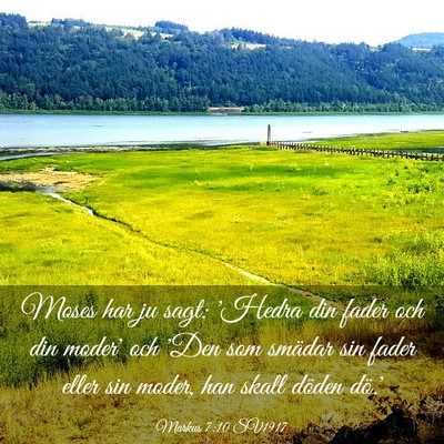 Picture 03 - Markus 7:10 SV1917 - Moses har ju sagt: 'Hedra din fader och din - Bible Verse Picture
