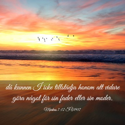 Picture 03 - Markus 7:12 SV1917 - då kunnen I icke tillstädja honom att vidare - Bible Verse Picture