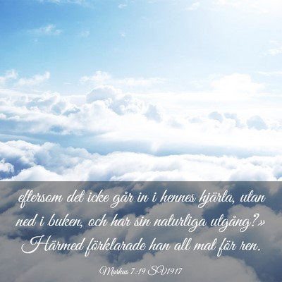 Picture 03 - Markus 7:19 SV1917 - eftersom det icke går in i hennes hjärta, utan - Bible Verse Picture