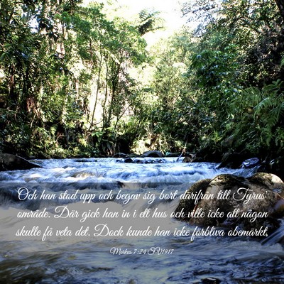 Picture 03 - Markus 7:24 SV1917 - Och han stod upp och begav sig bort därifrån - Bible Verse Picture
