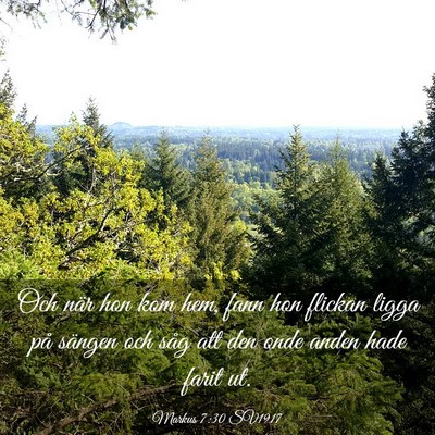 Picture 03 - Markus 7:30 SV1917 - Och när hon kom hem, fann hon flickan ligga på - Bible Verse Picture
